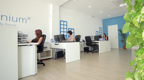 Franquicia Terraminium