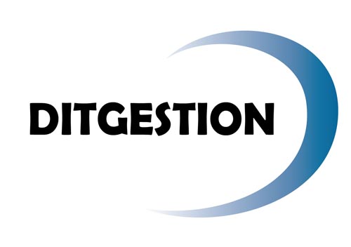 Dit Gestion1