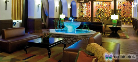 Autoempleo Franquicias Ambiseint1