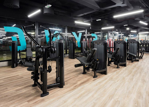 Franquicias Synergym1