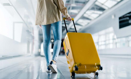 Franquicia B The Travel